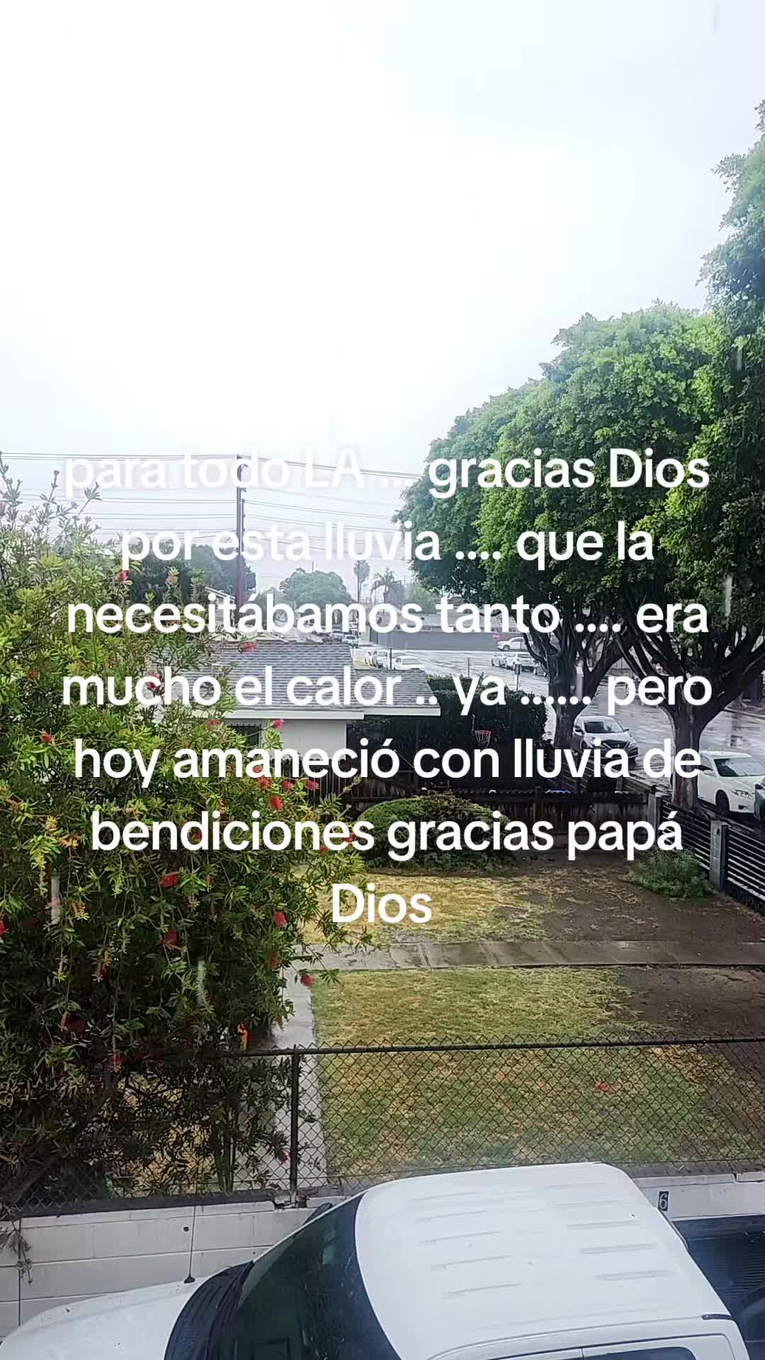 @G .. maldonado