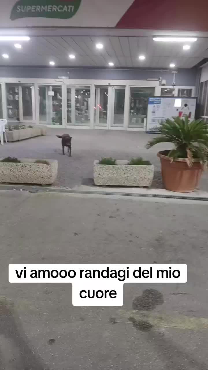 @Gina Boccia