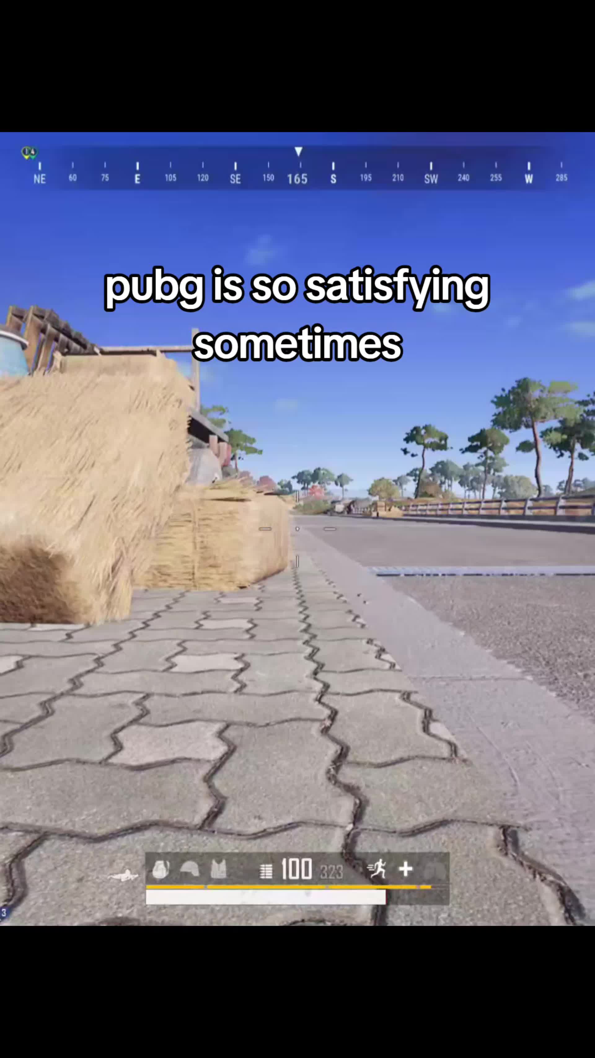 @copperhead350 pubg
