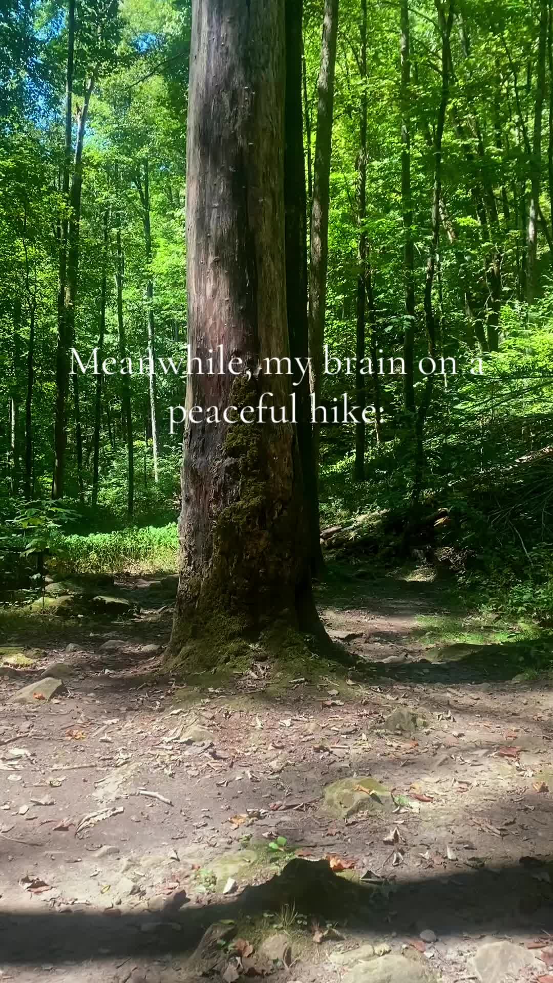 @angelpresto77