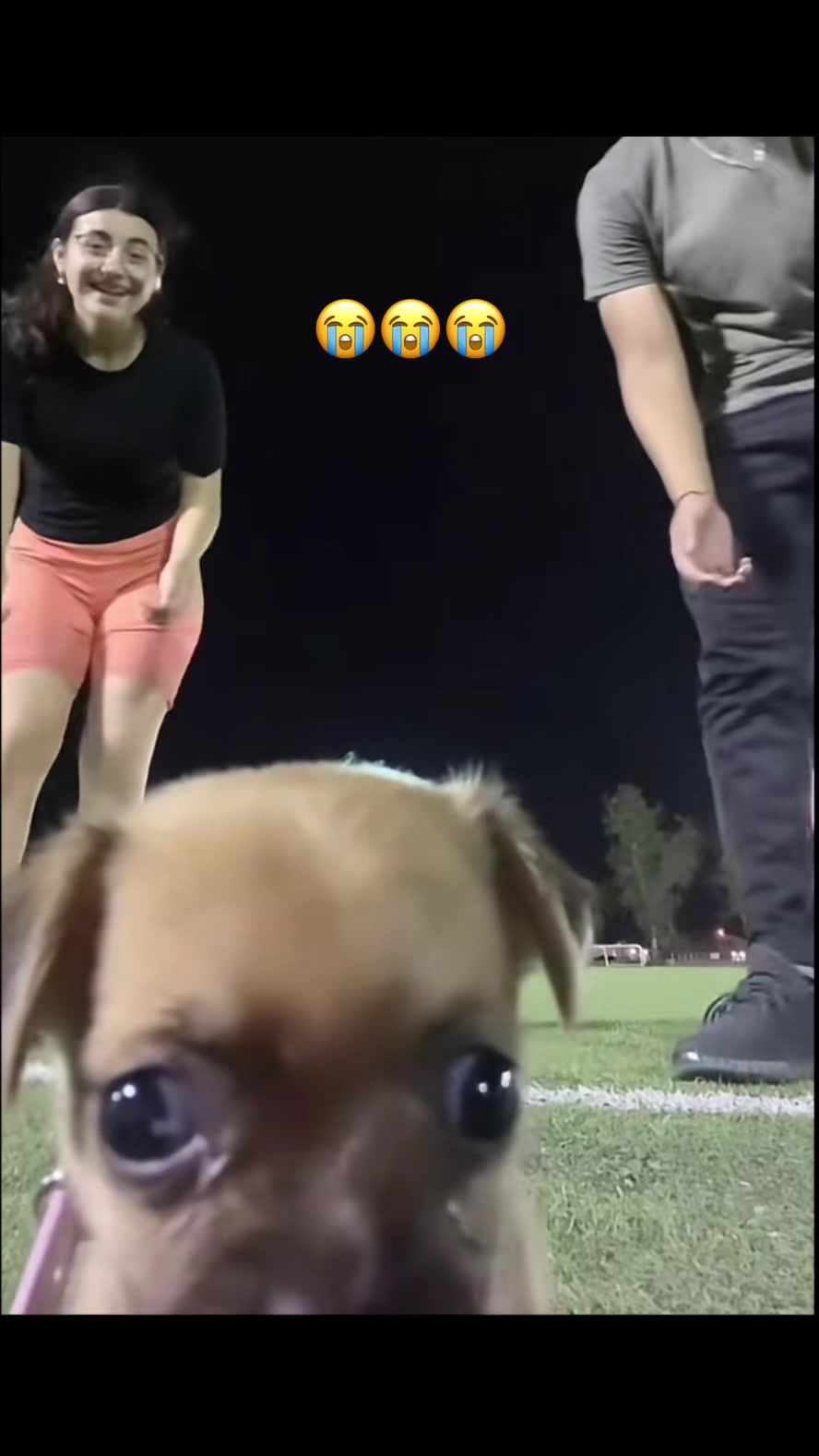 @BLASHENBERM