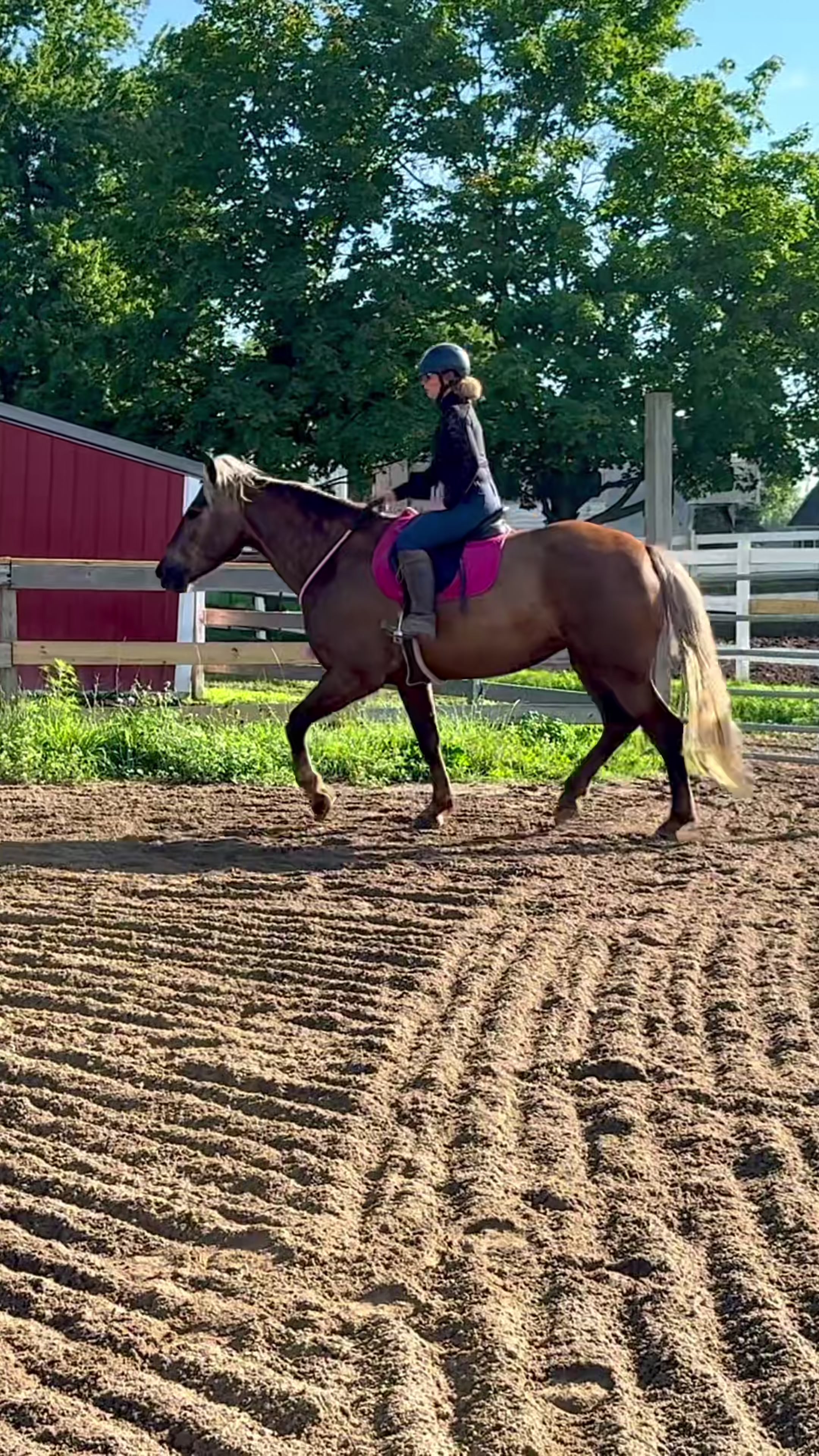 @Free Spirit Equestrian