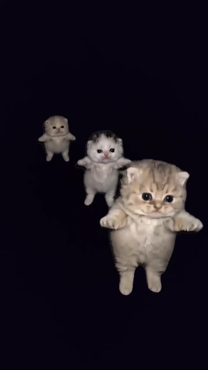 @IC3YREALITY