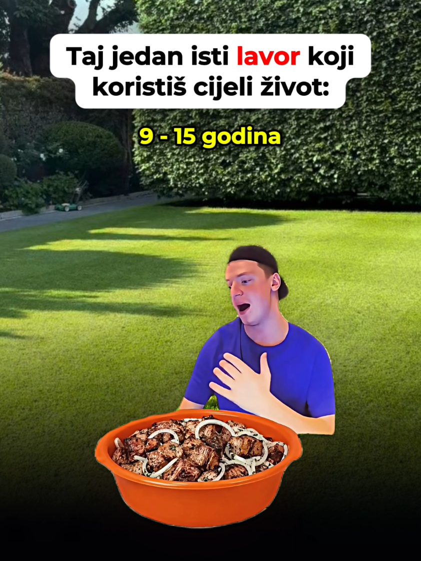 @user65384299754