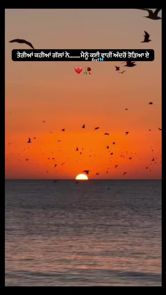@Reet Kaur🦋🧚♀️🪬