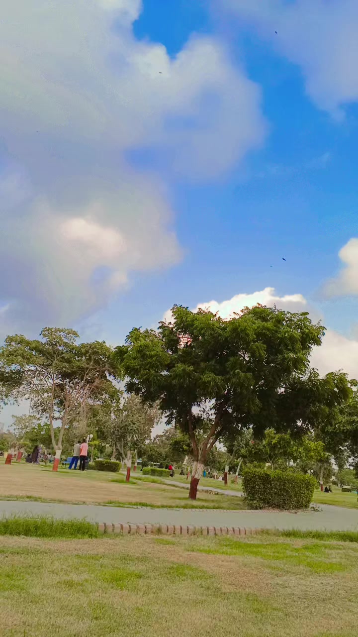 @King-Panah-Sindhi