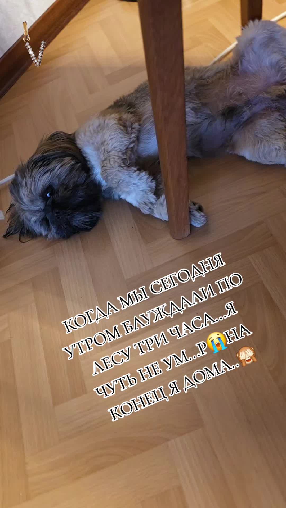 @♥️♠️♥️𝐕𝐈𝐓𝐀♥️♣️♥️
