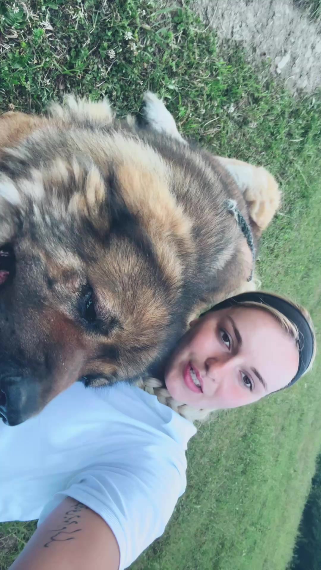 @Caucasian Shepheard Dogs