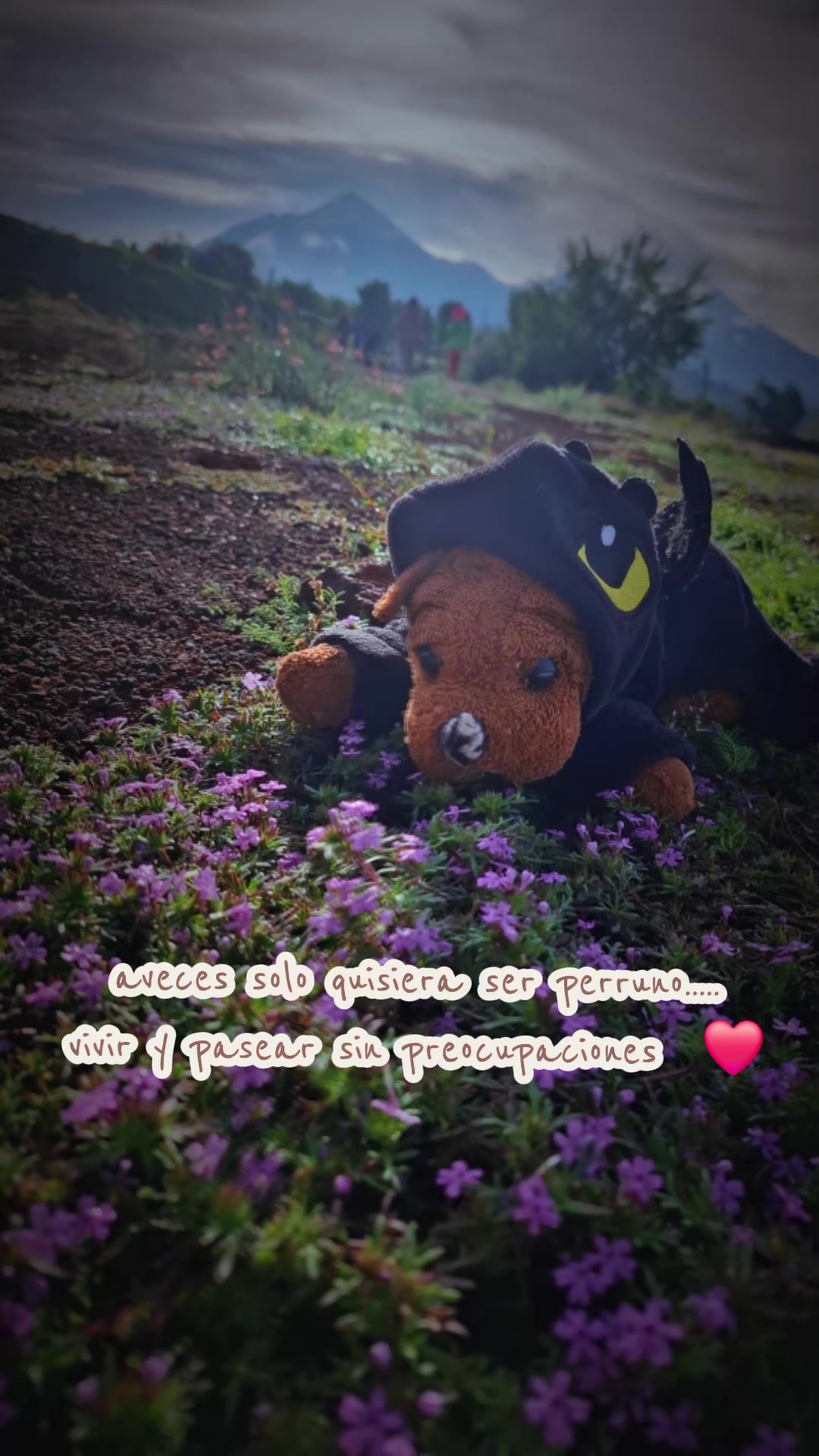 @lna casta&ntilde;eda