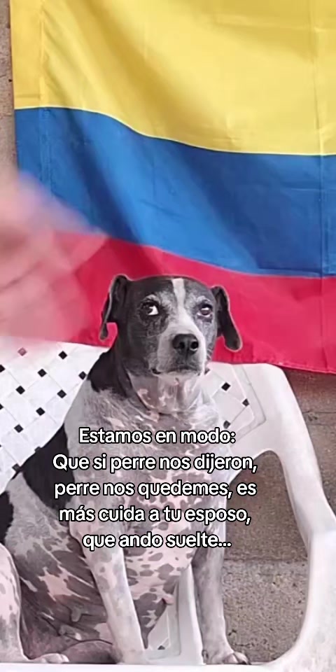 @MANCHAS 0714 OFICIAL
