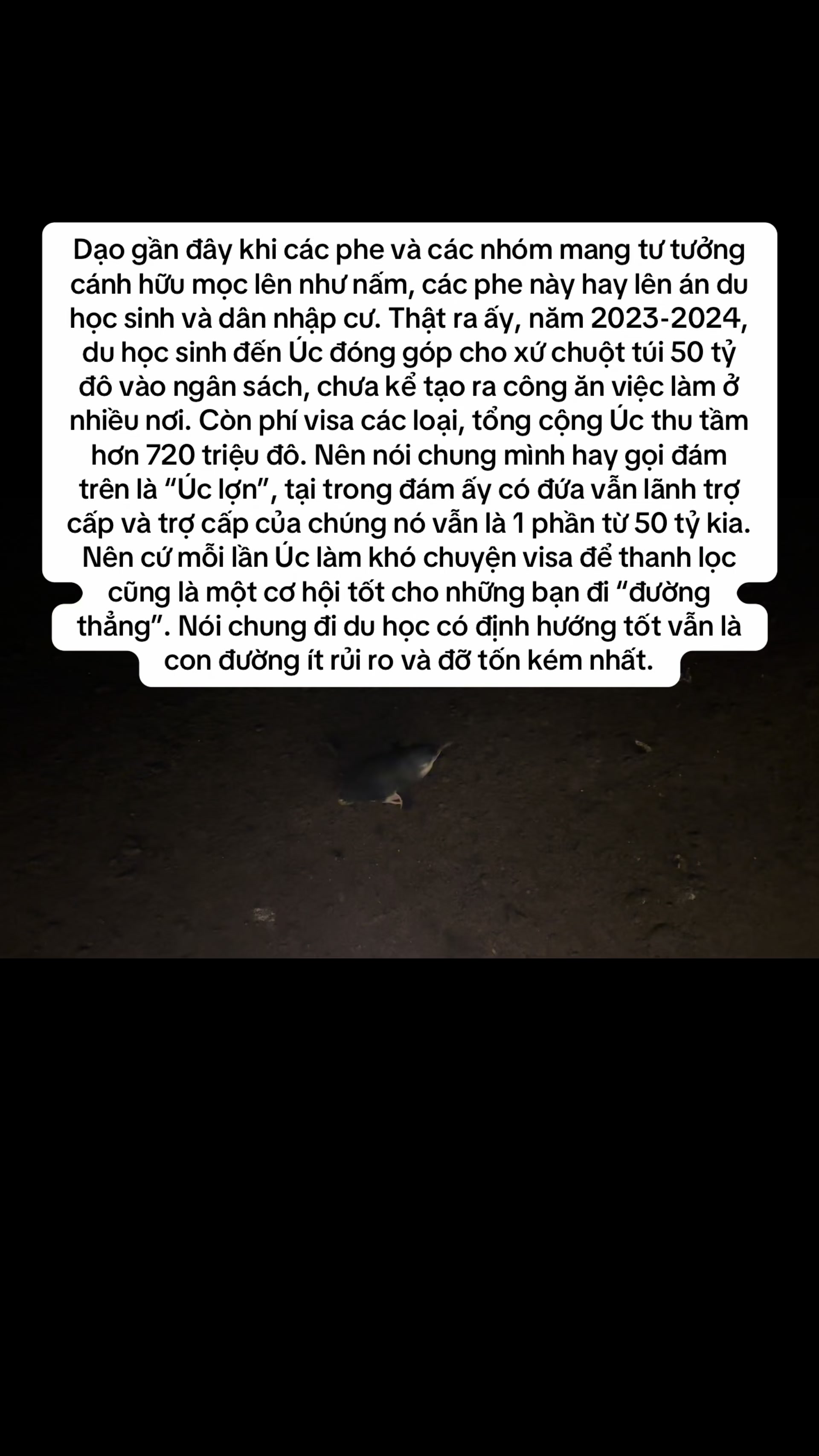 @🇻🇳👨⚕️in 🇦🇺 - Kyle Dang