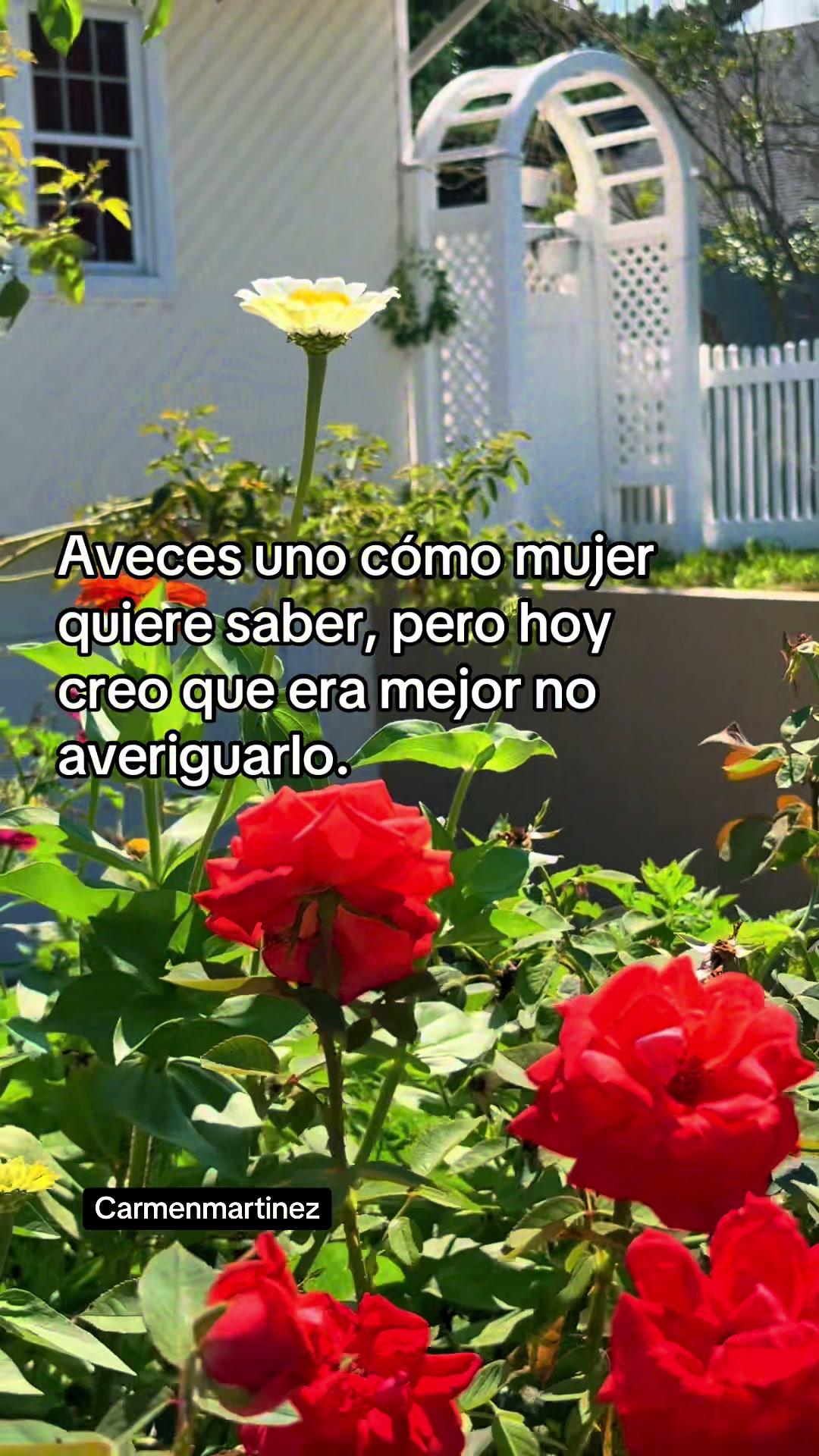 @Carmen Martinez