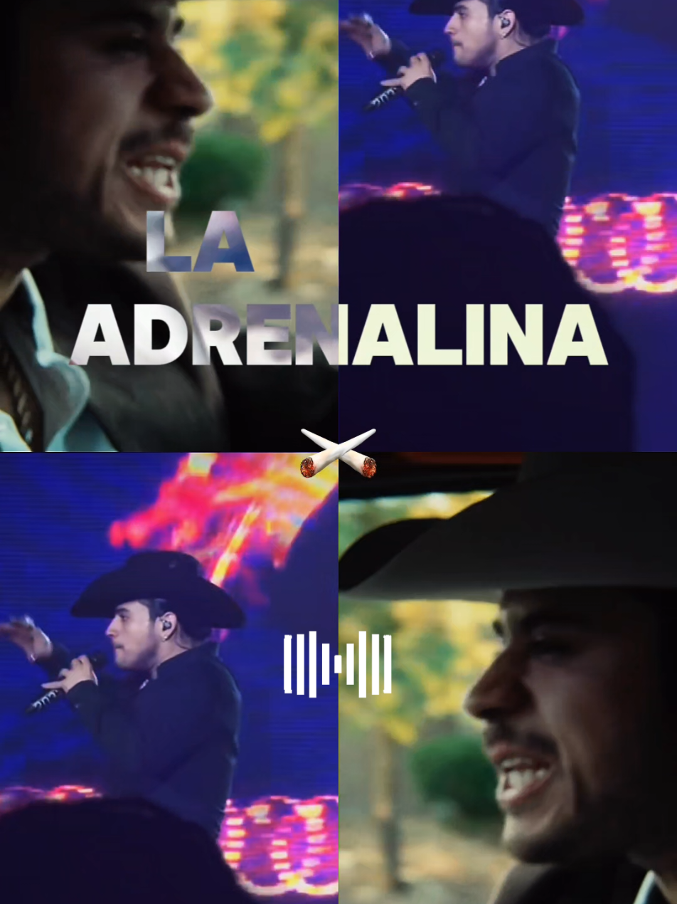 @Alejandro Cortez🐓