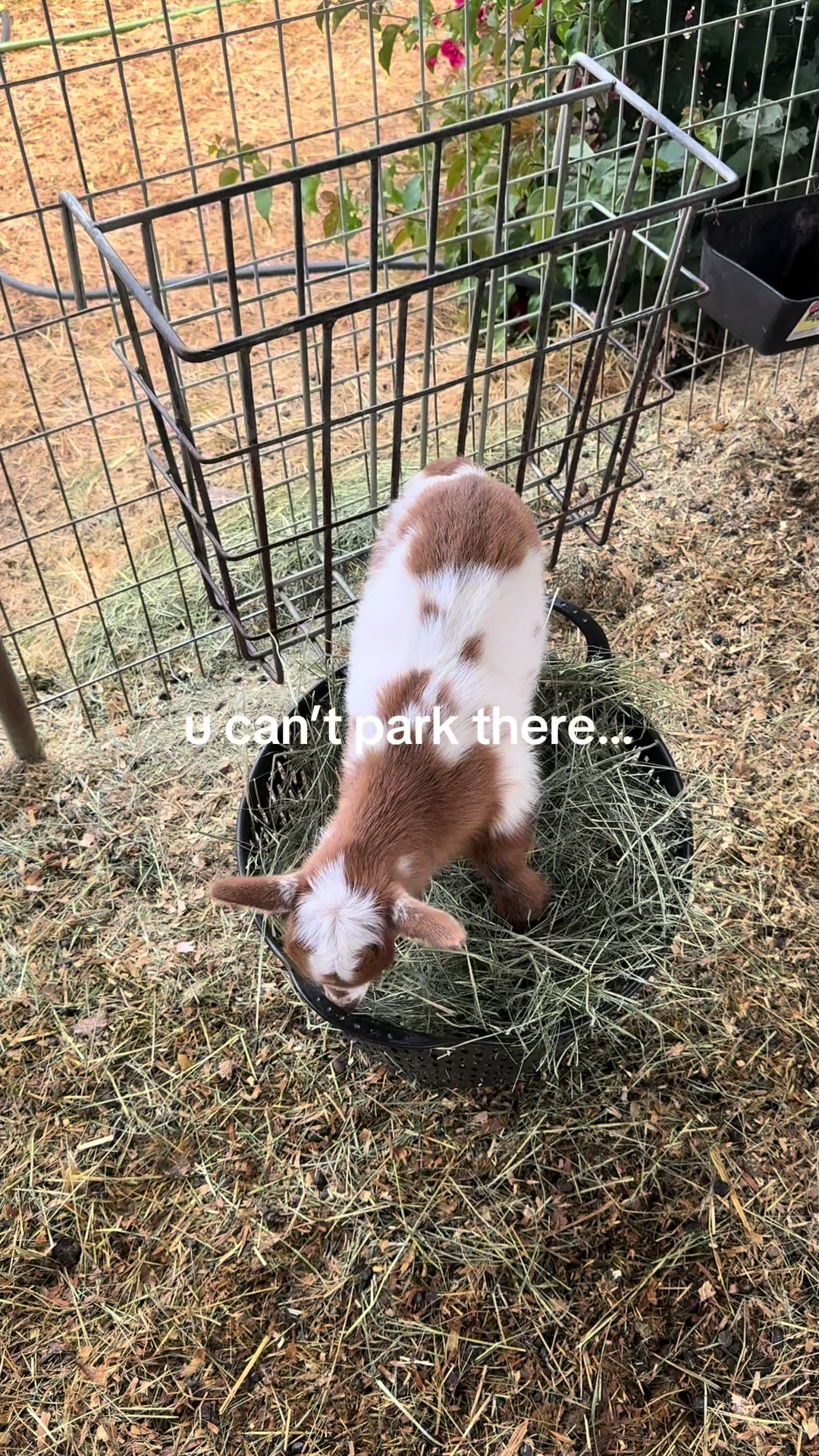 @🤩🤩🤩