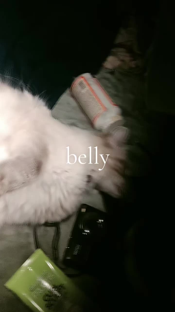 @hailyy