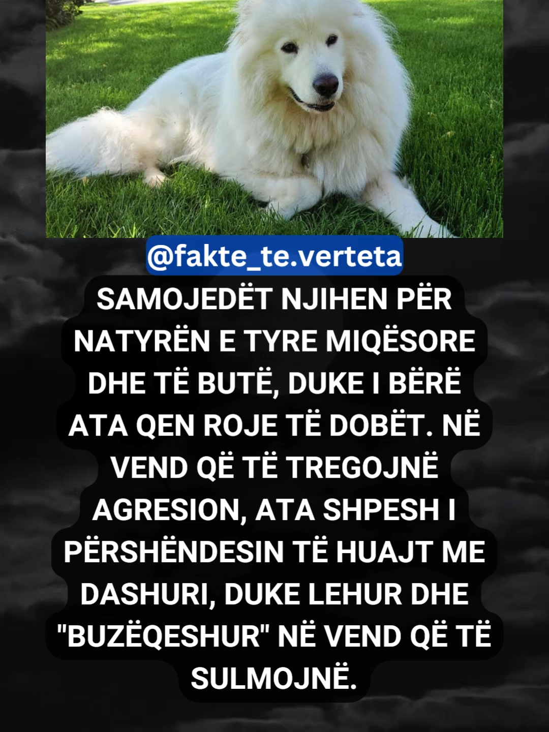 @fakte_te.verteta