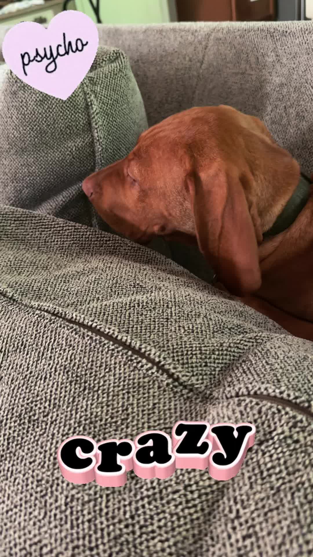 @Copper | Penny