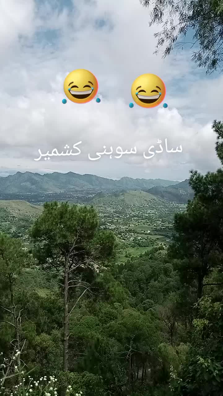 @NAZIR Ajk