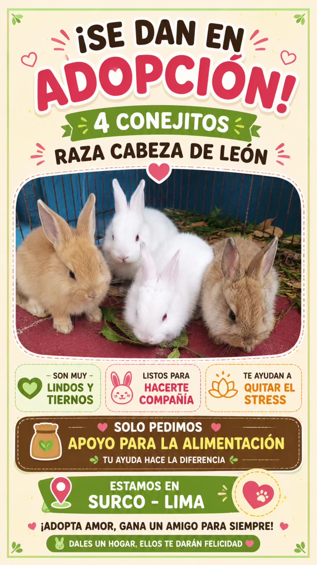 @Perritos Voladores