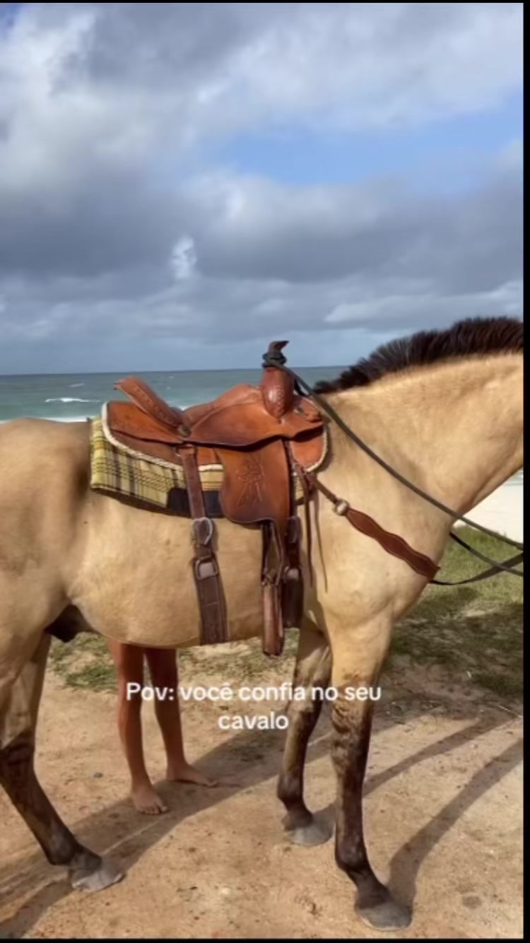 @Pᥱ́r᥆ᥣᥲ ᥱ ᥴᥲ&rho;&iota;tᥲ̃᥆