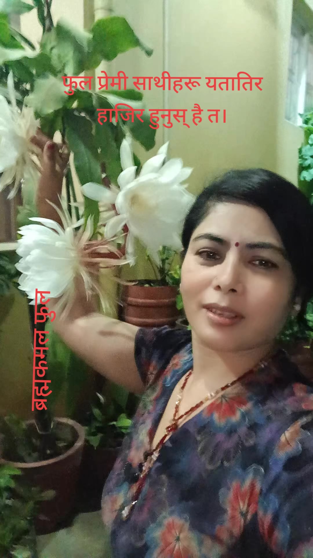 @Sabitri Pyakurel35