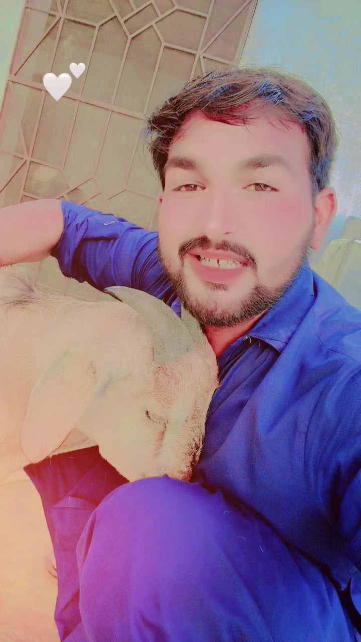 @Ch.Javed