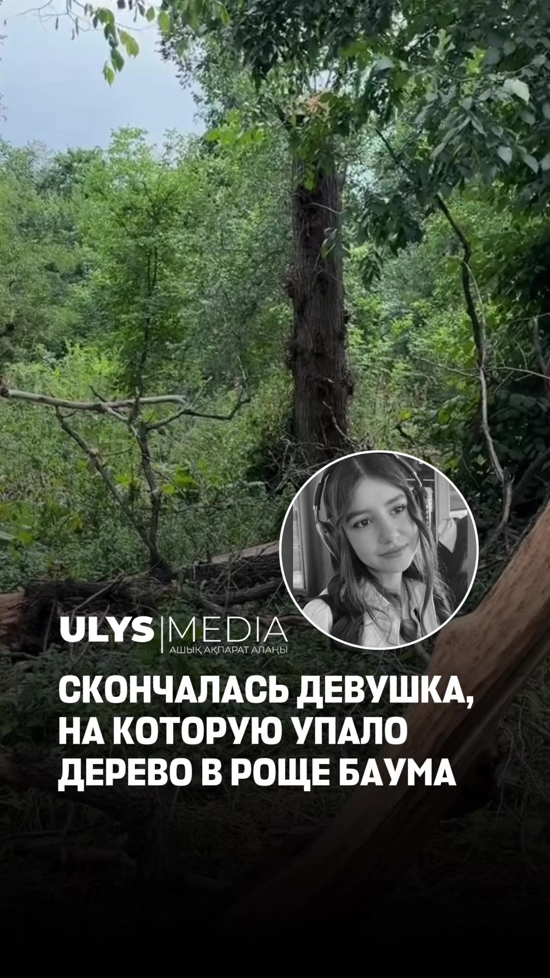 @ULYSMEDIA