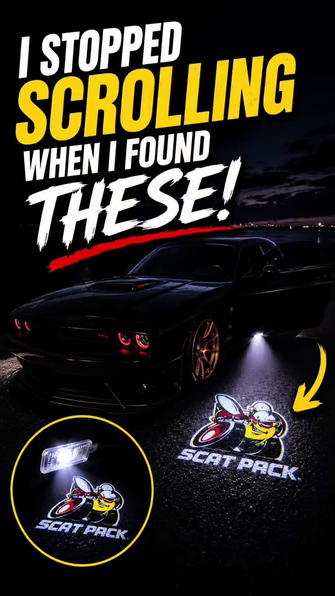@Scatpack Bee 🐝