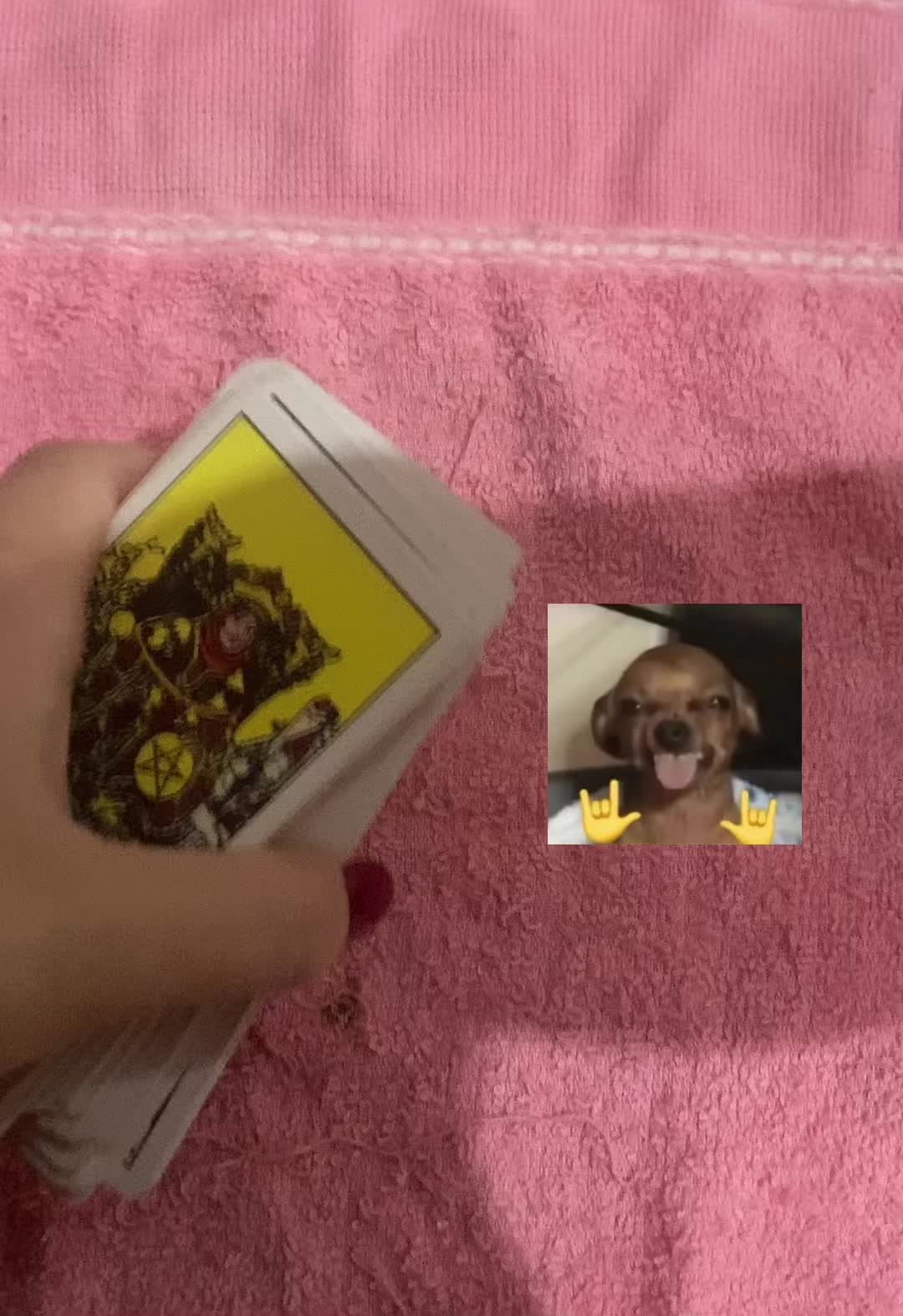 @dani | cartomante ✮⋆˙