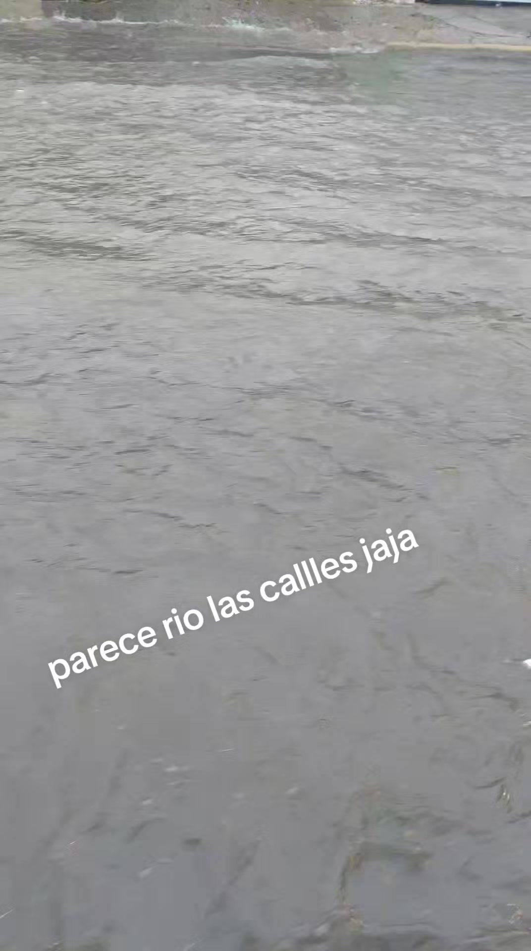 @Letty Taylor