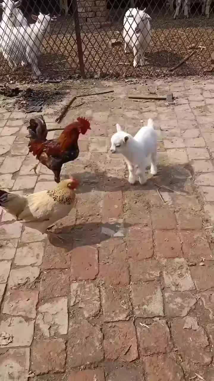 @تكسرنا الحياة ويجيرنا الله
