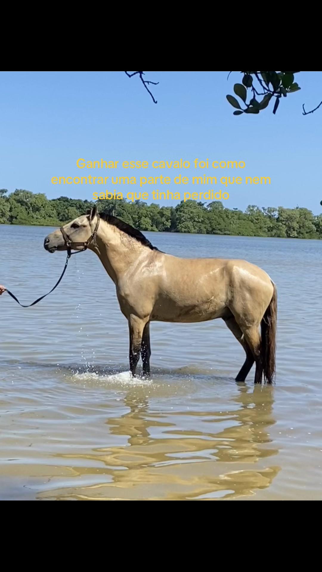 @Pᥱ́r᥆ᥣᥲ ᥱ ᥴᥲ&rho;&iota;tᥲ̃᥆