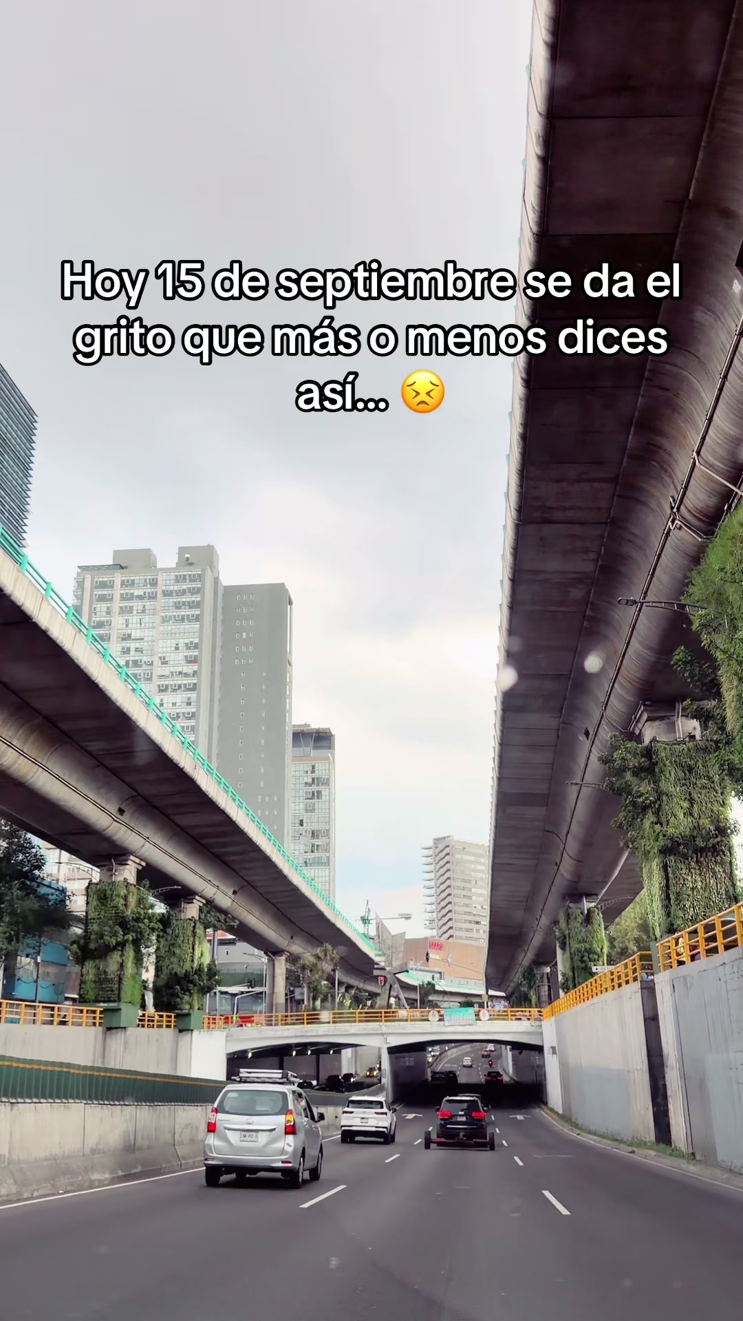 @Noemi Hernandez