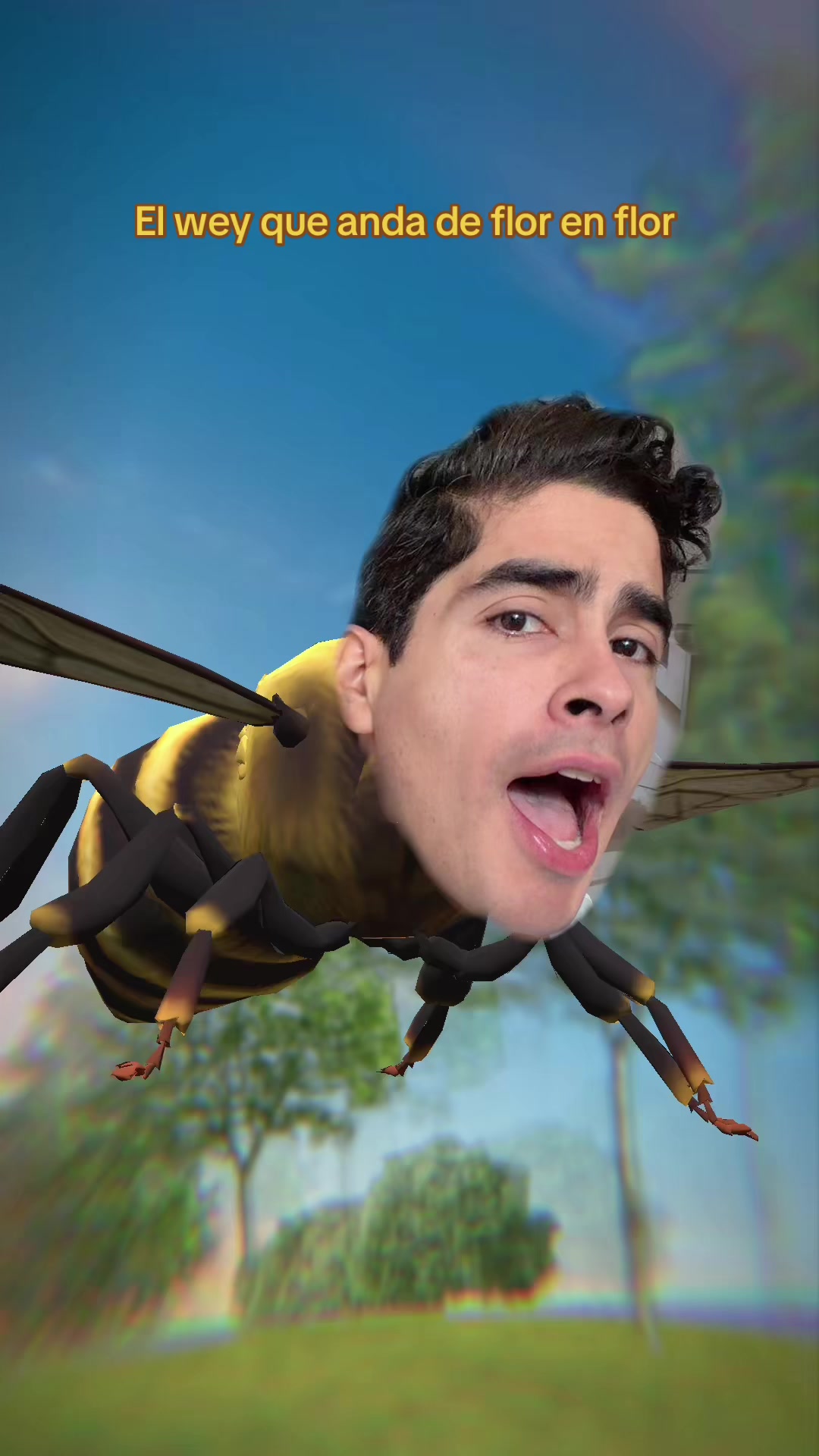 @pepevaldivieso