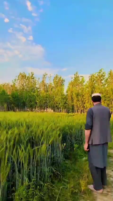 @👑 KPK KING 👑
