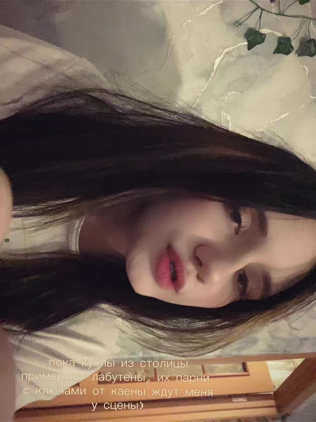 @белка 🛐