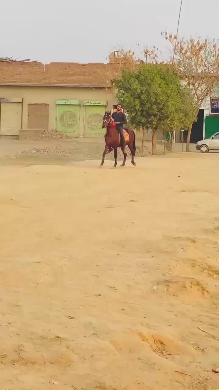 @احمد گل نمبر دار