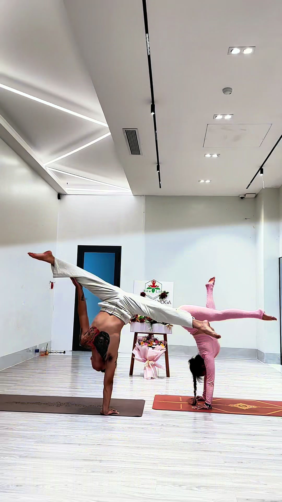 @ZoiZoi Yoga 🌱