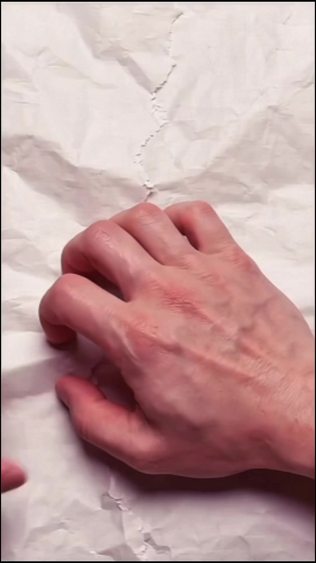 @𝐌𝐀𝐑𝐈𝐀 𝐖𝐈𝐄𝐃𝐄𝐌𝐀𝐍𝐍