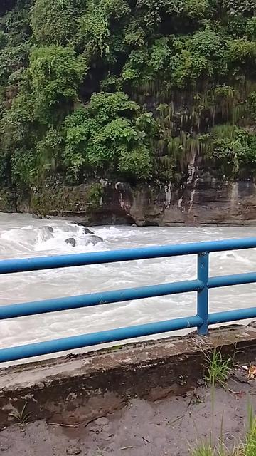 @arjunbaral306