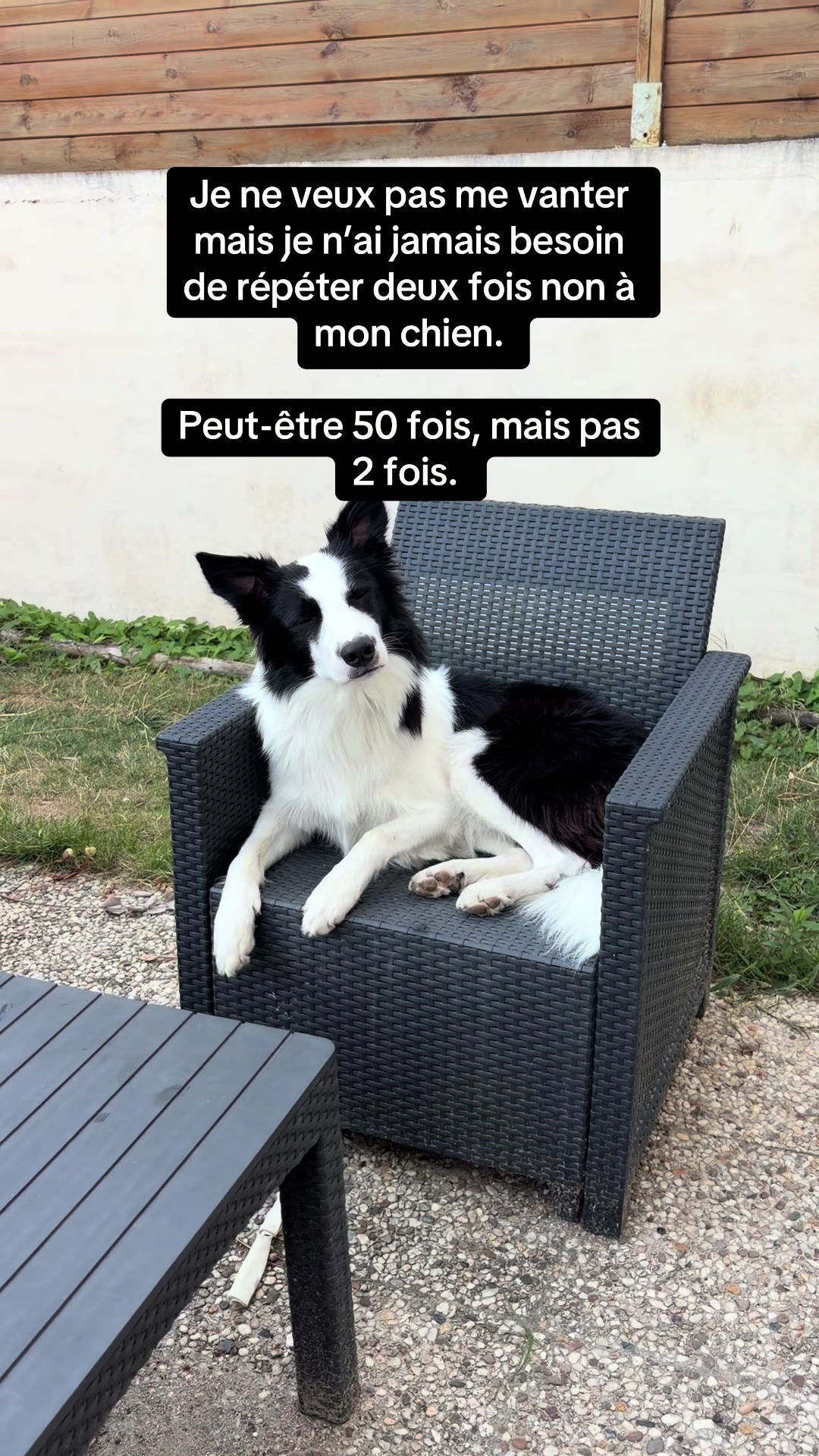 @Tigrou & Asko