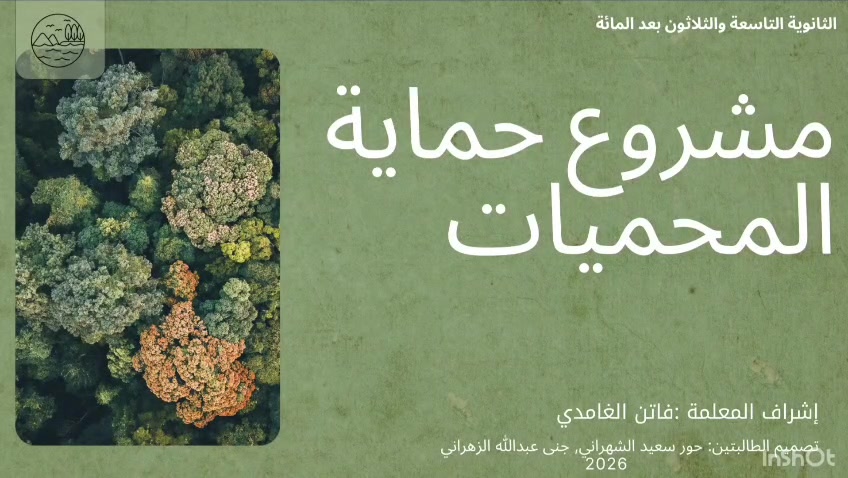 @فاتن الغامدي