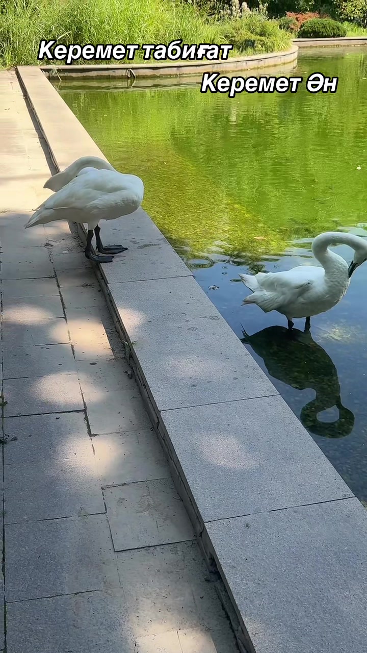 @Р.И.М