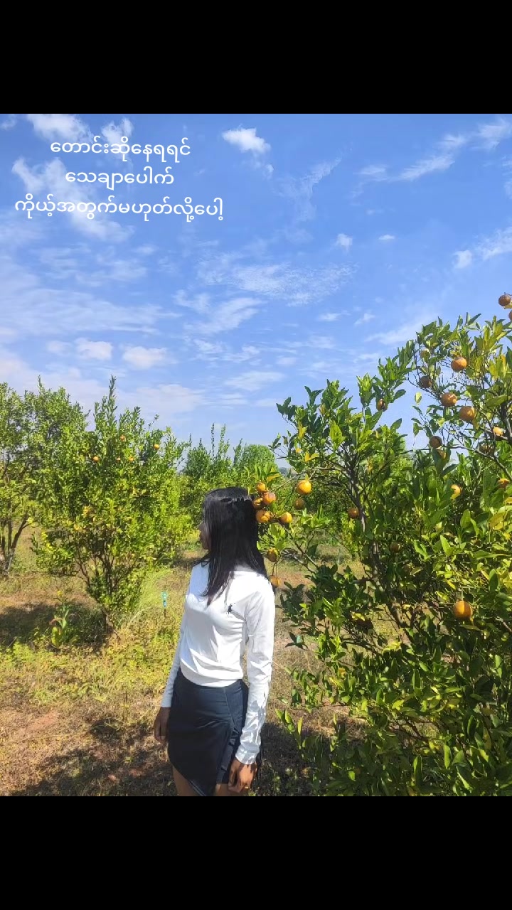 @Êï Shwë Sïñ Âüñg