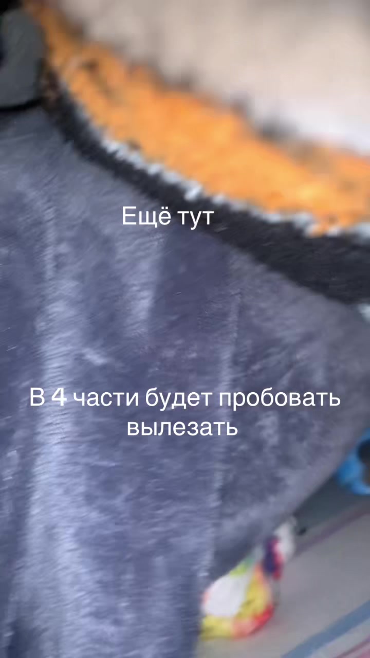 @Микки
