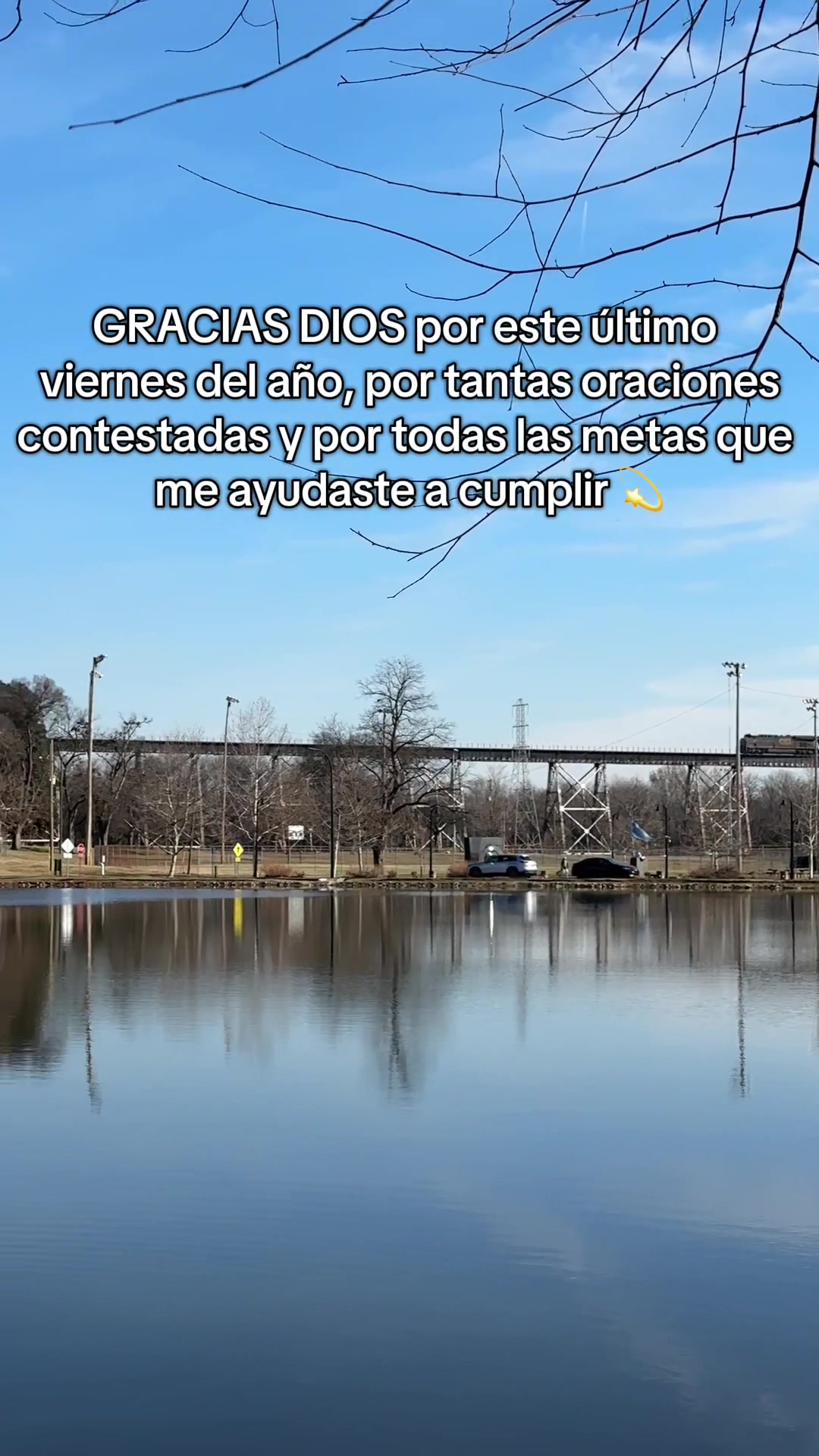 @yirelisz