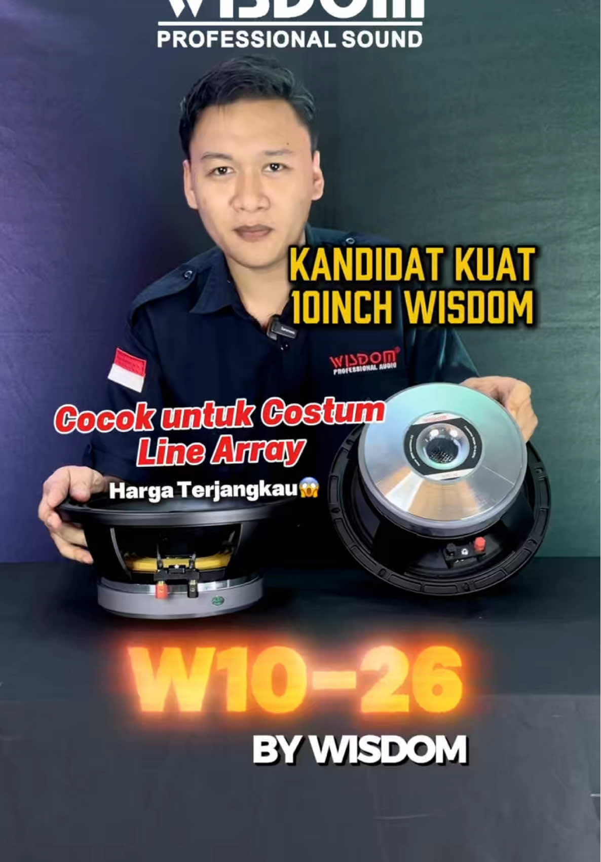 @Wisdom Pro Audio