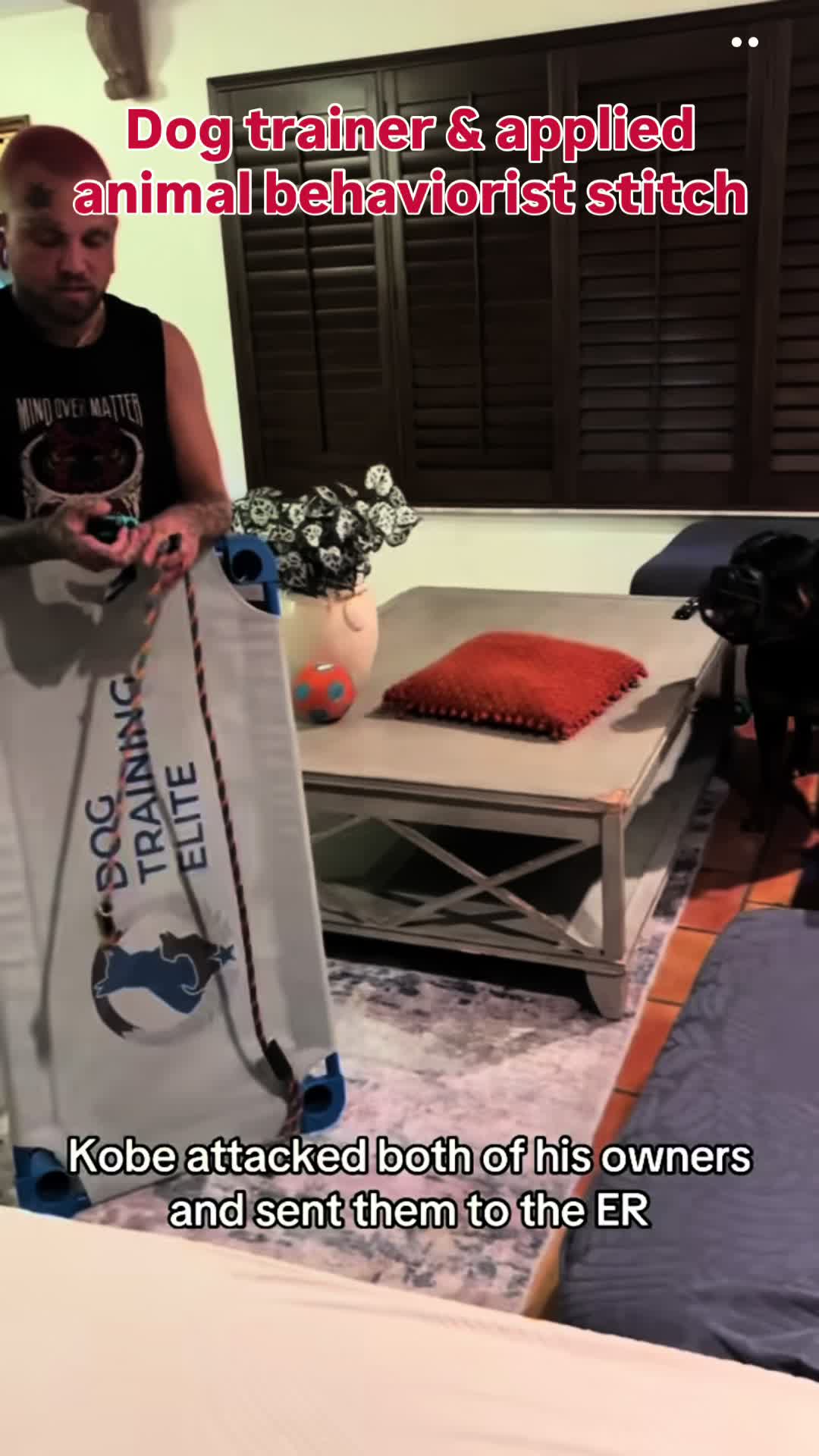 @balancedcanineacademy