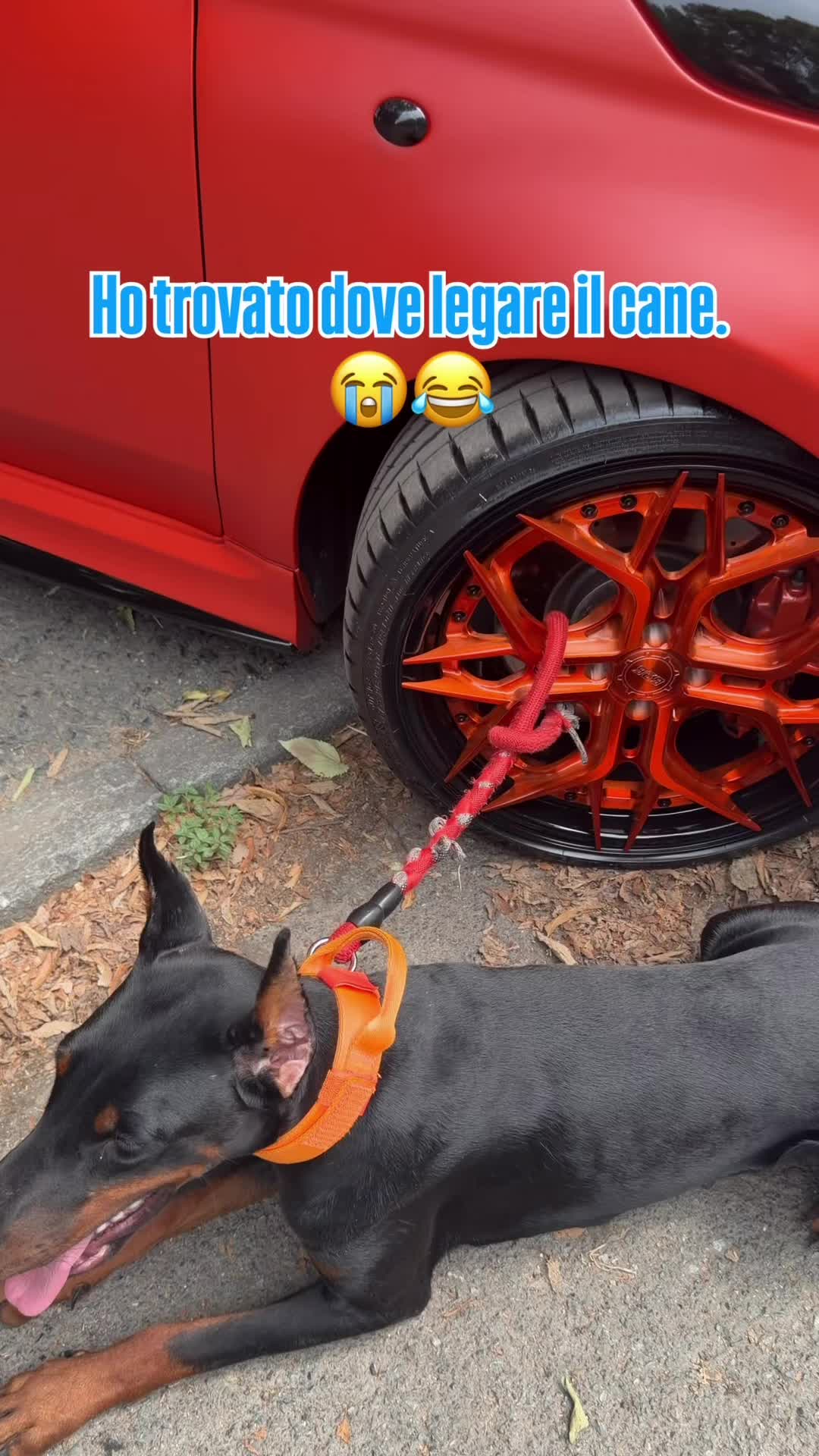 @๐๐ ๐๐๐๐๐๐๐งก