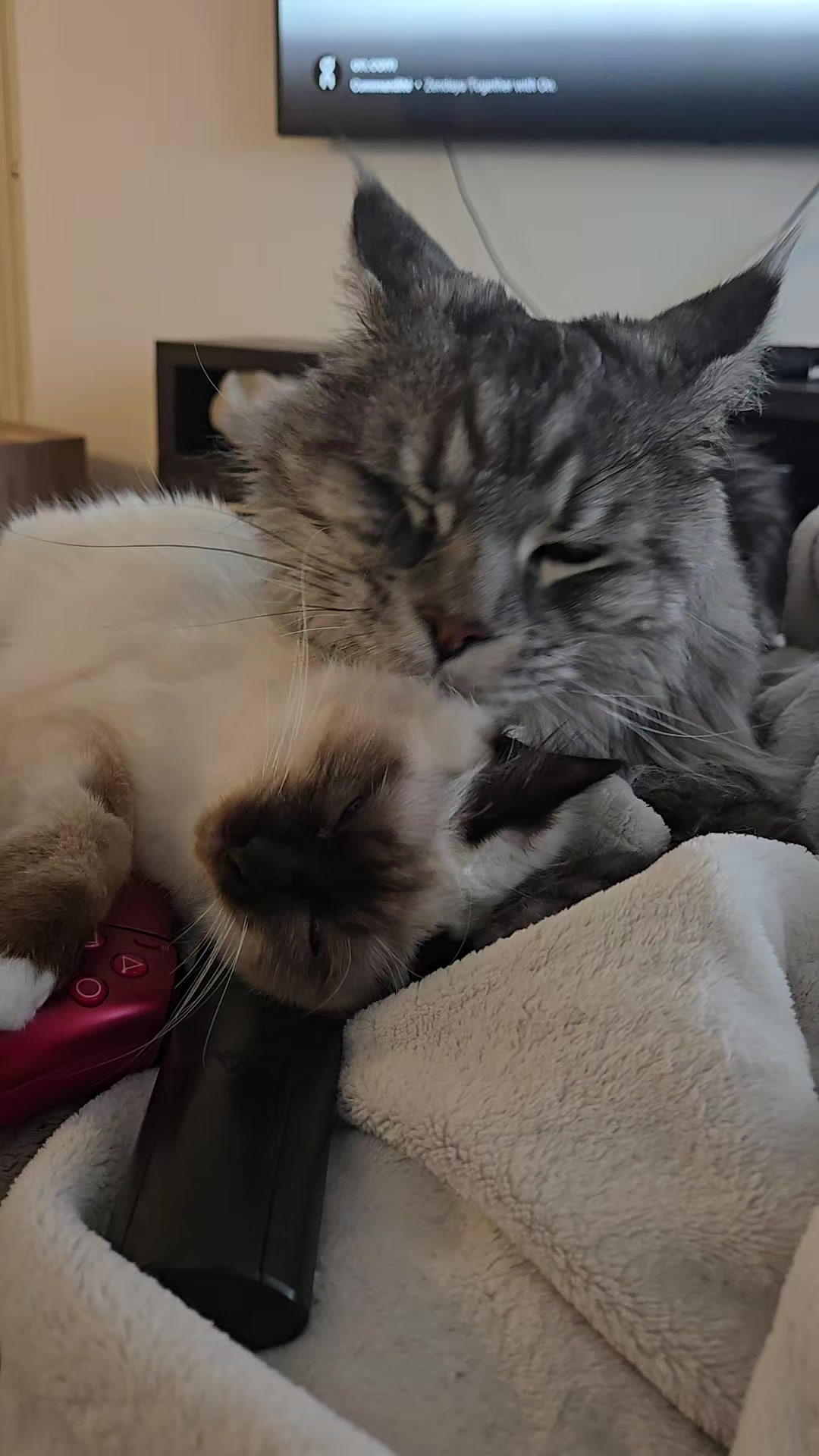 @Léo & Suki ♥️